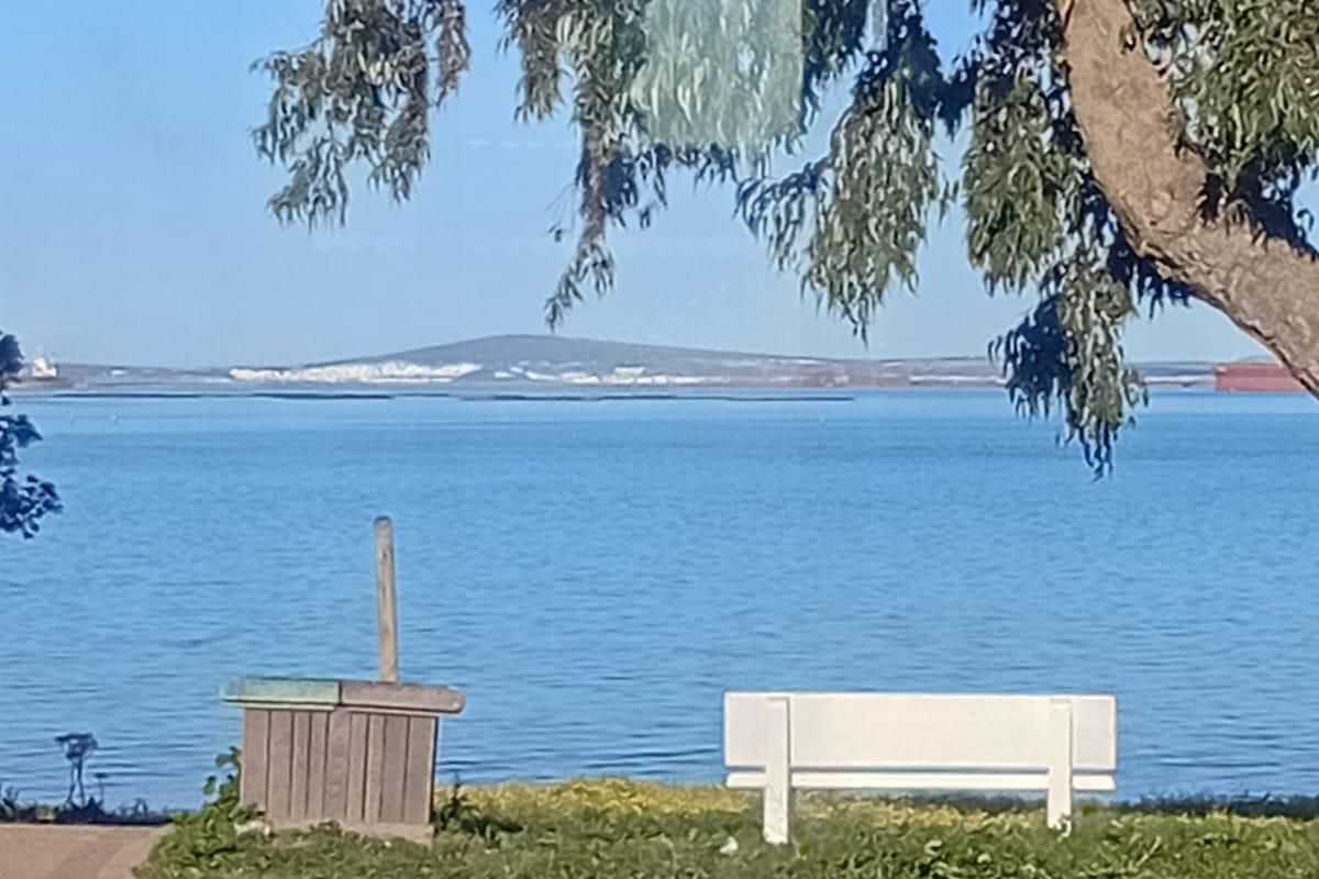 A scenic view of the ocean and distant coastline, captured from a paved outdoor area with a tree and bench.