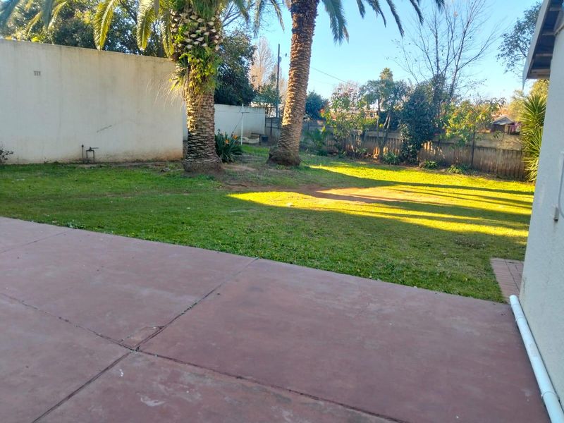 A spacious rear garden featuring a concrete patio area, established palm trees, and a perimeter wall, offering potential for outdoor landscaping and entertainment space.