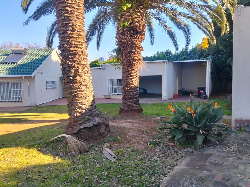Rear garden area featuring a lawn, mature palm trees, a paved patio, and access to a garage with a solar water heater on the roof.