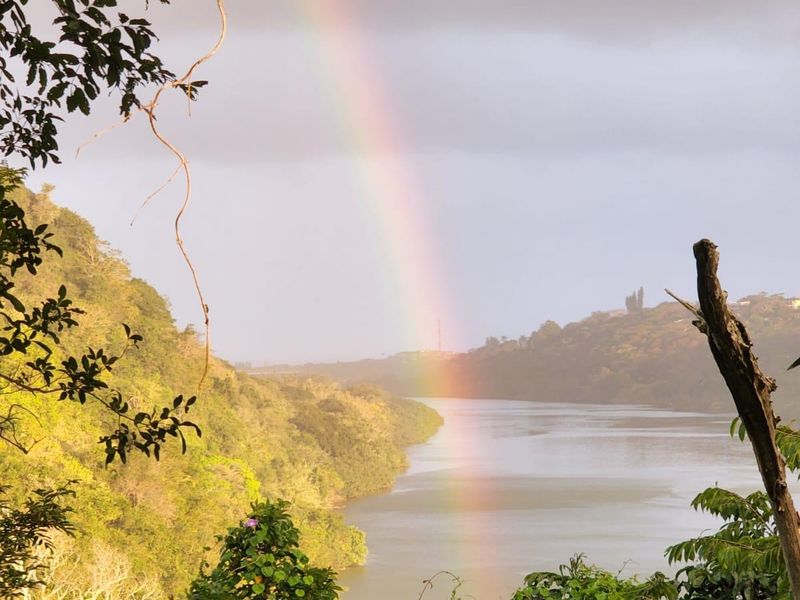 A scenic view of a river landscape framed by lush vegetation, featuring a rainbow over the water.