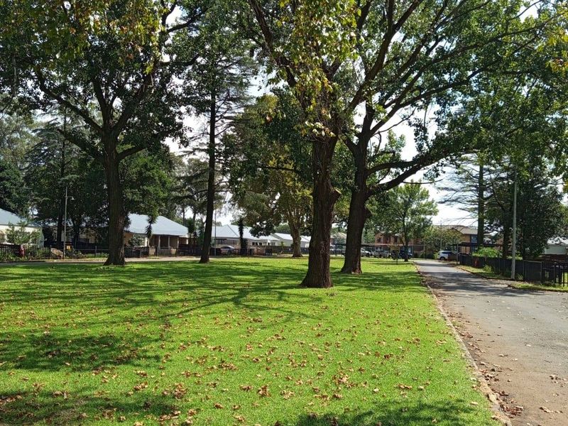 A spacious, well-maintained communal garden area featuring mature trees and a paved access road within the apartment complex grounds.