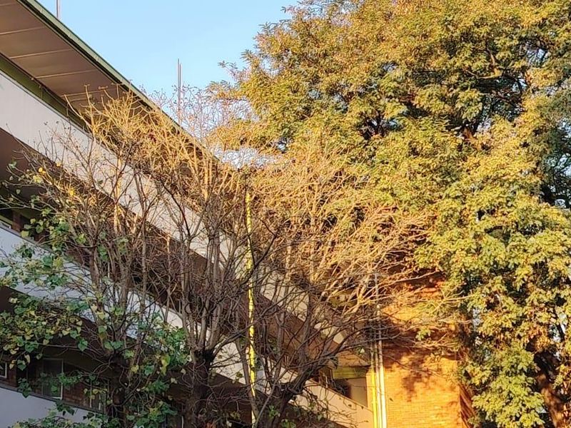 Exterior view of an apartment building facade featuring brickwork and balcony access, surrounded by mature trees.