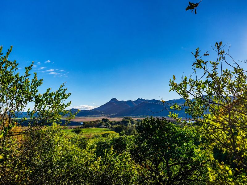 A scenic landscape view featuring rolling hills and mountains under a clear blue sky, framed by natural vegetation.