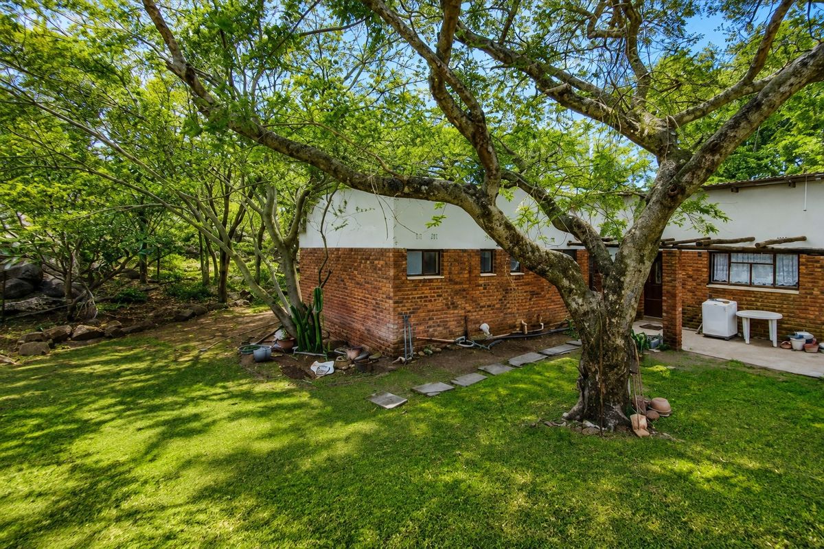 Rear view of the house featuring a brick facade, concrete patio area, and a timber pergola set within a mature garden.