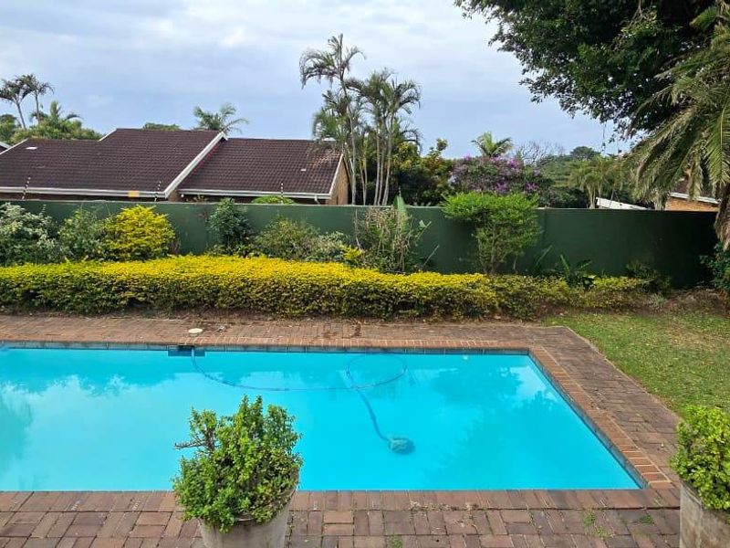 A private backyard swimming pool featuring brick coping, surrounded by a landscaped garden and a secure perimeter wall with electric fencing.