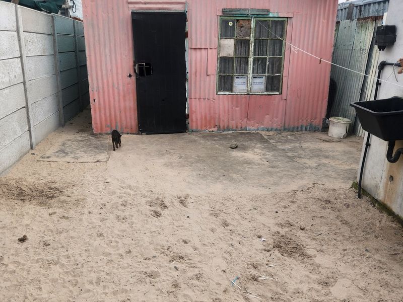 Rear view of a corrugated iron structure featuring a concrete boundary wall, external utility sink, and satellite dish installation.