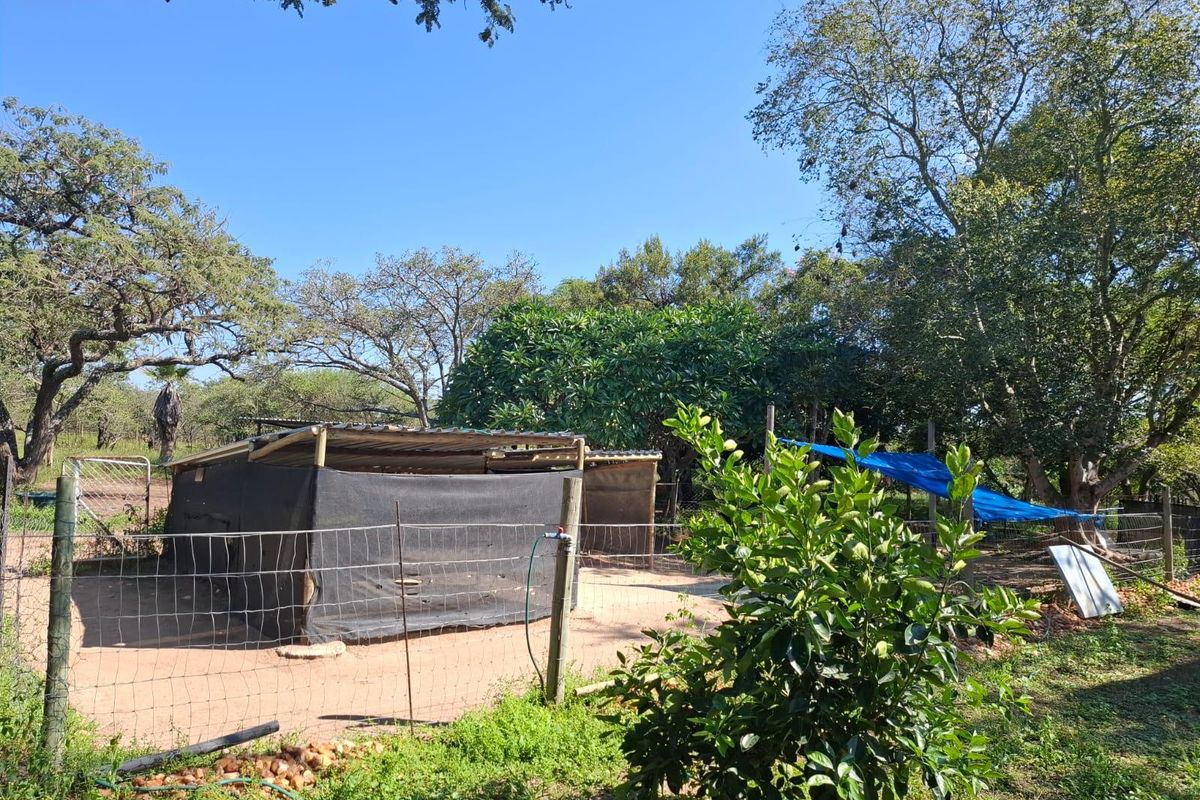 A rural farm area featuring a makeshift shade cloth structure with a corrugated metal roof, enclosed by wire fencing and surrounded by mature trees.