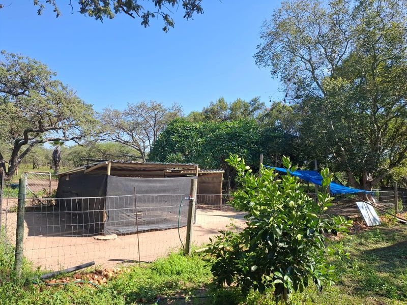 A rural farm area featuring a makeshift shade cloth structure with a corrugated metal roof, enclosed by wire fencing and surrounded by mature trees.