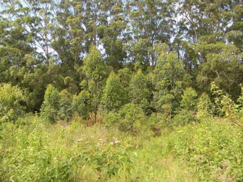 Vacant Land For Sale In Trafalgar - Photo 1