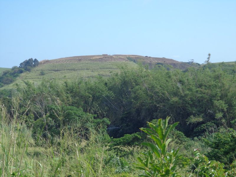 Vacant Land For Sale In Trafalgar - Photo 4
