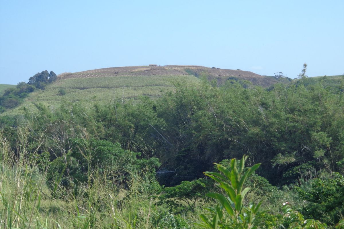 Vacant Land For Sale In Trafalgar - Photo 4