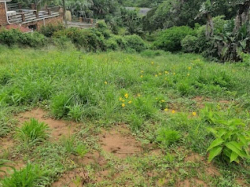 Vacant Land For Sale In Trafalgar - Photo 3