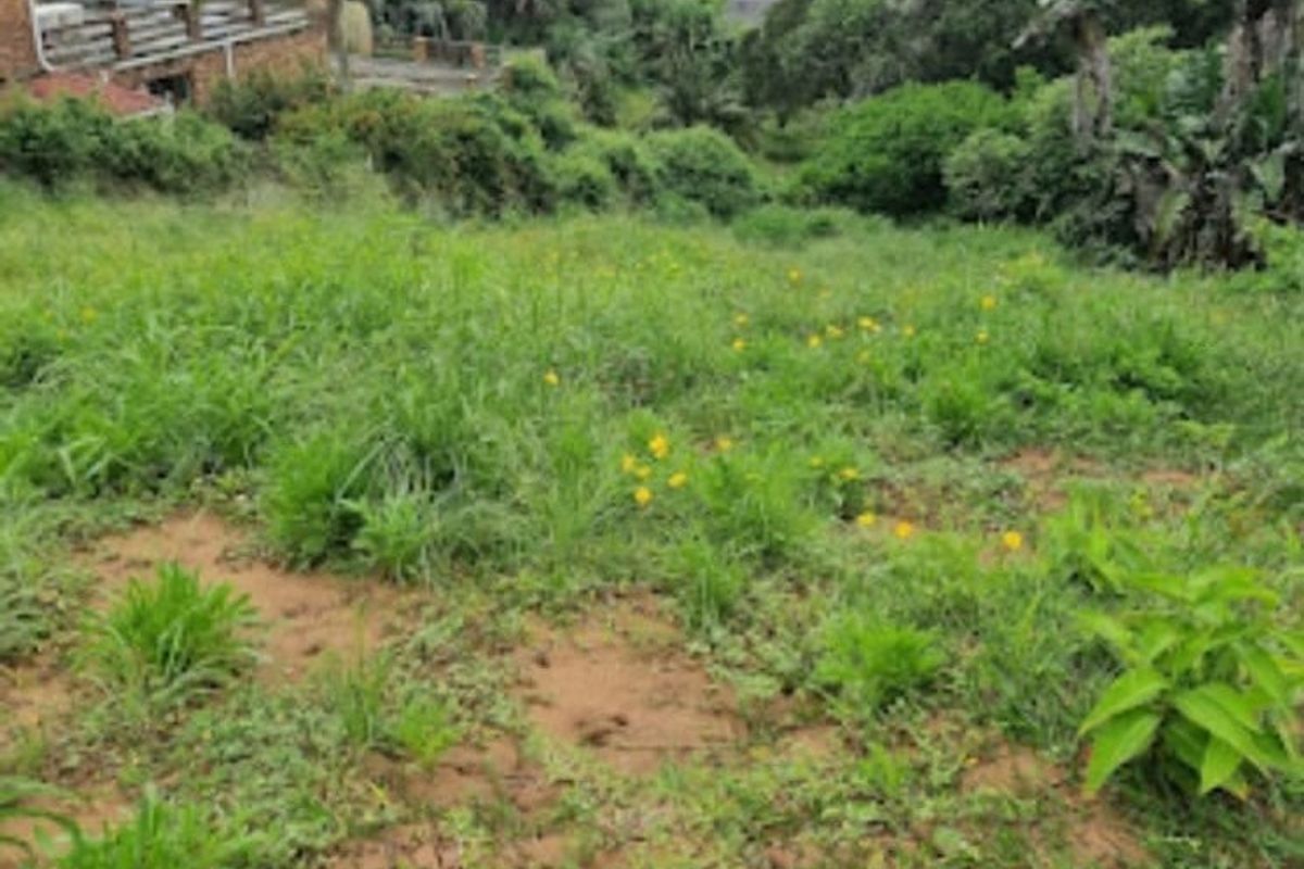 Vacant Land For Sale In Trafalgar - Photo 3
