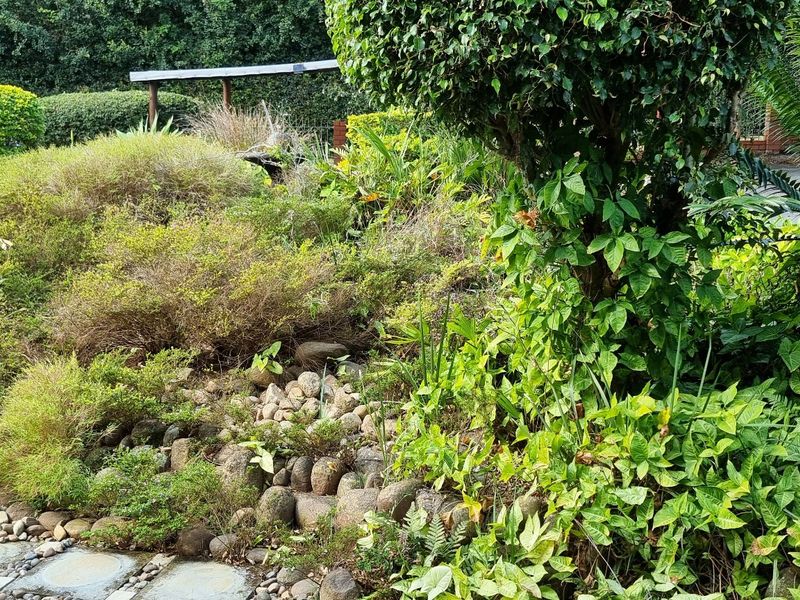 A lush, established garden featuring a stone pathway, rockery elements, and a variety of mature shrubs and trees.