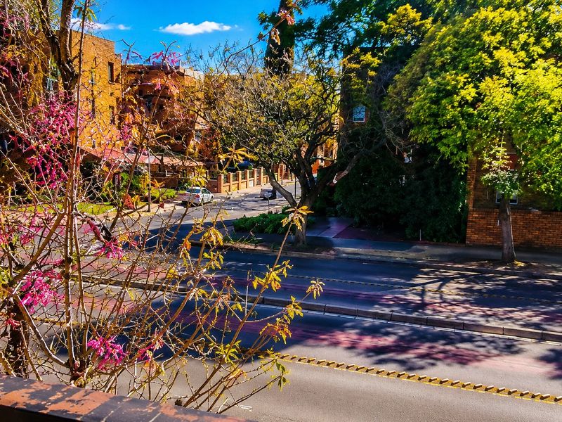 A view overlooking a suburban street with mature trees and paved infrastructure.