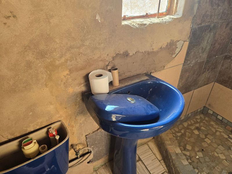 A bathroom in need of significant renovation, featuring a blue pedestal basin and toilet cistern against damaged, unfinished wall surfaces.