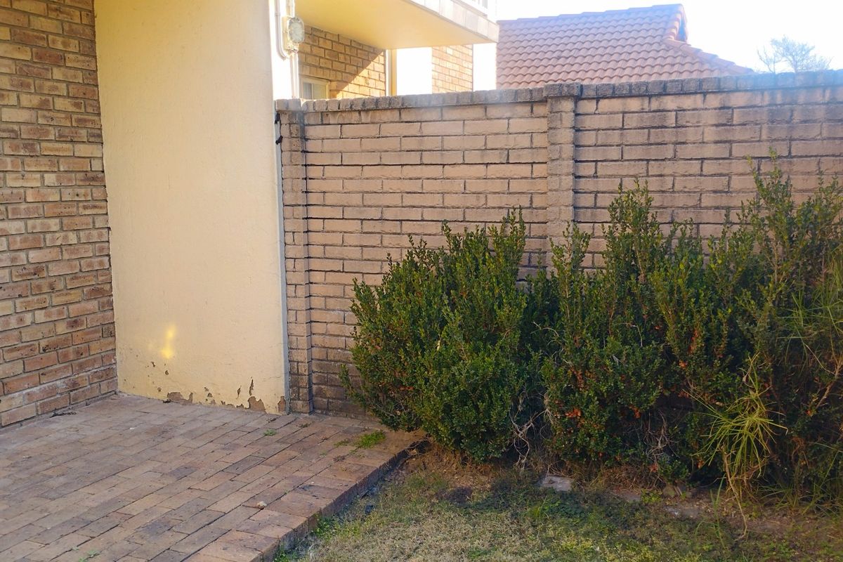 A rear exterior area featuring a brick boundary wall, a paved patio section, and a plastered wall showing signs of paint deterioration.