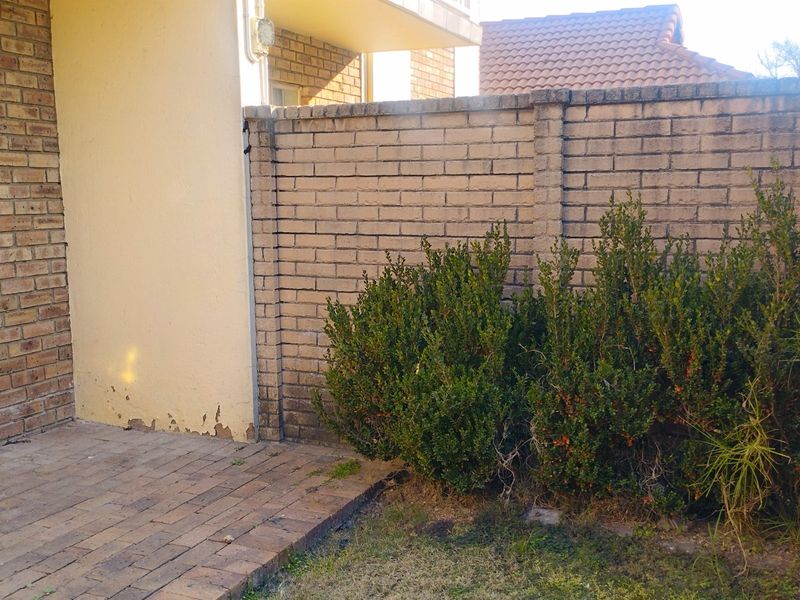A rear exterior area featuring a brick boundary wall, a paved patio section, and a plastered wall showing signs of paint deterioration.