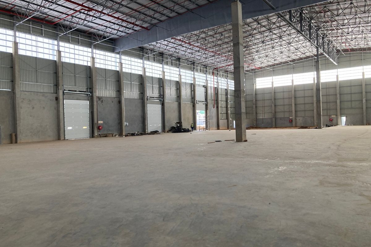 Spacious industrial warehouse featuring high ceilings, concrete flooring, multiple roller shutter doors, and an integrated fire sprinkler system, suitable for logistics or manufacturing.