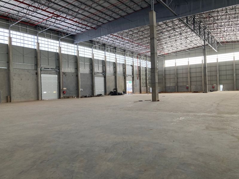 Spacious industrial warehouse featuring high ceilings, concrete flooring, multiple roller shutter doors, and an integrated fire sprinkler system, suitable for logistics or manufacturing.