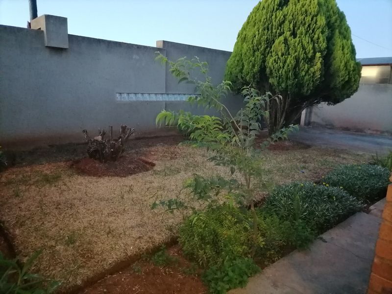 A residential garden area featuring a perimeter wall with glass block detailing, a paved walkway, and established landscaping.