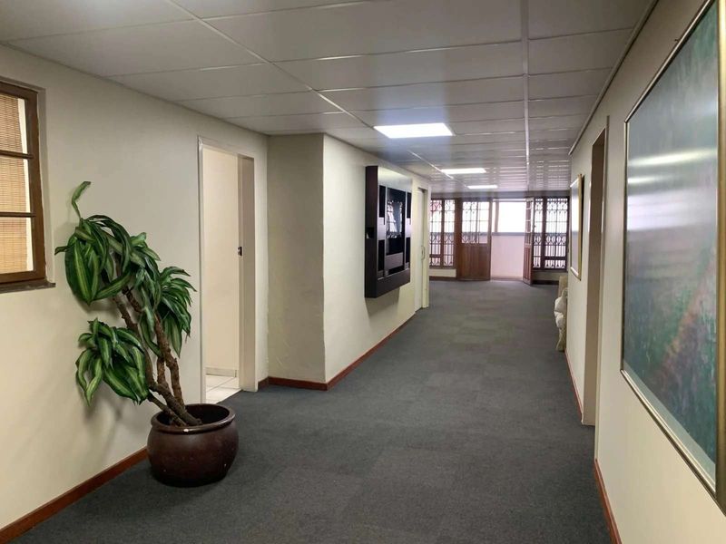 A spacious commercial hallway featuring a suspended ceiling, recessed lighting, and carpeted flooring, leading towards timber-framed glass doors.