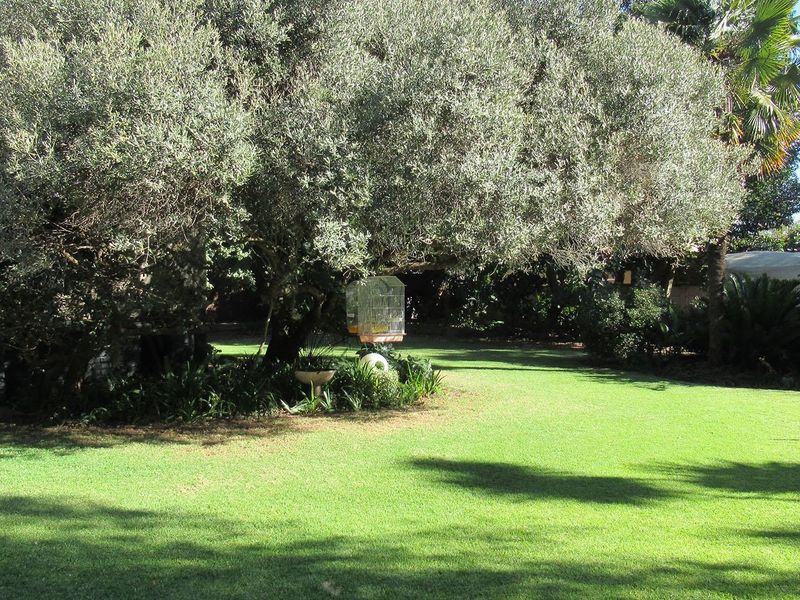 A well-maintained, spacious garden featuring a large mature tree providing shade over a lush green lawn and established garden beds.