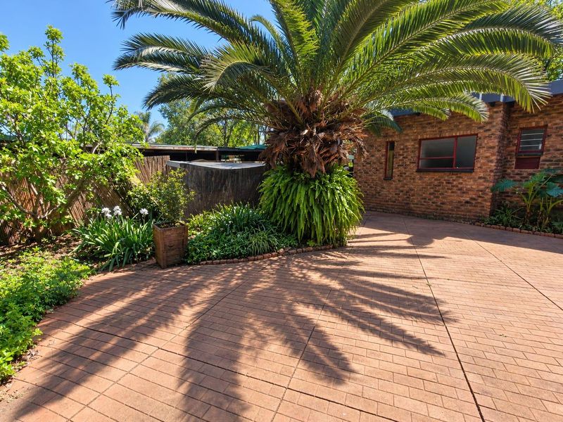 A well-maintained rear exterior area featuring face brick walls, steel window frames, and a paved patio surrounded by established garden landscaping.