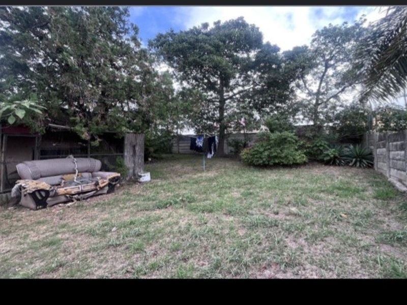 A spacious backyard garden featuring mature trees and a precast concrete boundary wall, offering potential for landscaping and outdoor improvement.