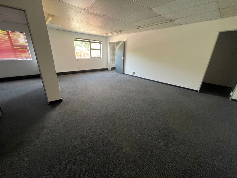Spacious, empty office area featuring a suspended ceiling, fluorescent lighting, and carpeted flooring, suitable for a versatile industrial workspace.