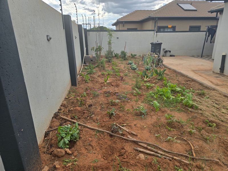 A rear garden area featuring a perimeter wall with electric fencing and a paved patio section, currently utilized as a vegetable patch.
