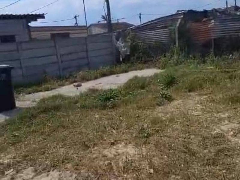 A view of the rear yard area featuring a precast concrete boundary wall, corrugated metal fencing, and an unpaved, overgrown ground surface.