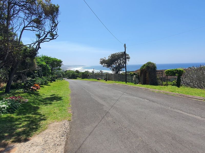 A clear street view of the residential area featuring an asphalt road, established landscaping, and a distant ocean view.