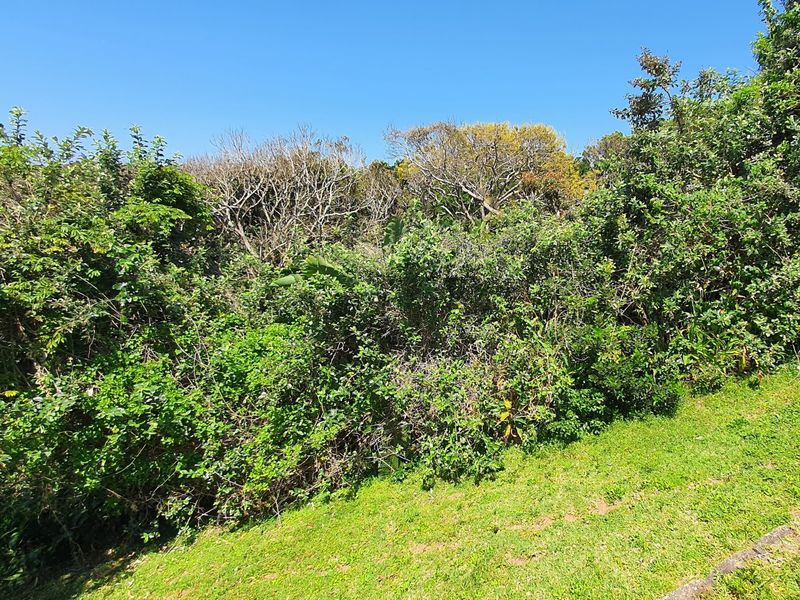 A view of a sloped residential plot featuring established green lawn and dense surrounding vegetation.