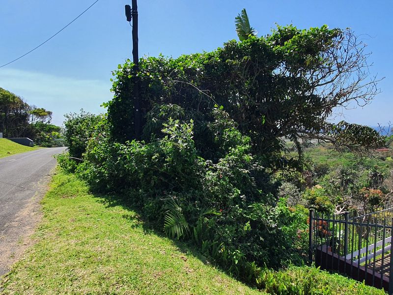 A street-level view of the residential property frontage, featuring an asphalt road, utility pole, and established perimeter fencing with surrounding greenery.