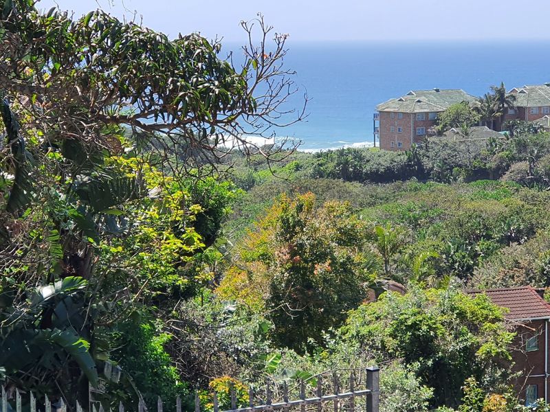 A scenic elevated view overlooking lush coastal vegetation with the ocean and residential buildings visible in the distance.