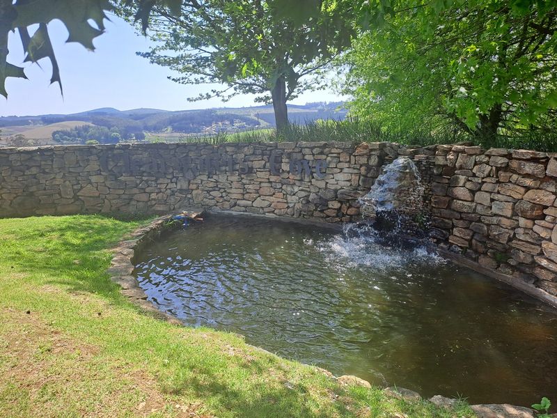 A landscaped garden area featuring a natural stone retaining wall and a built-in water feature with a pond.