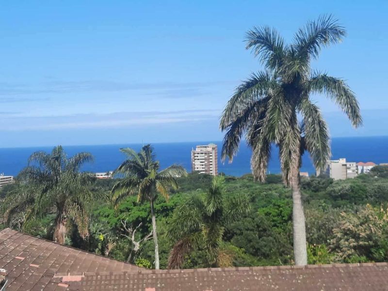 Elevated coastal view overlooking lush greenery, palm trees, and the ocean, captured from a residential property with a tiled roof.