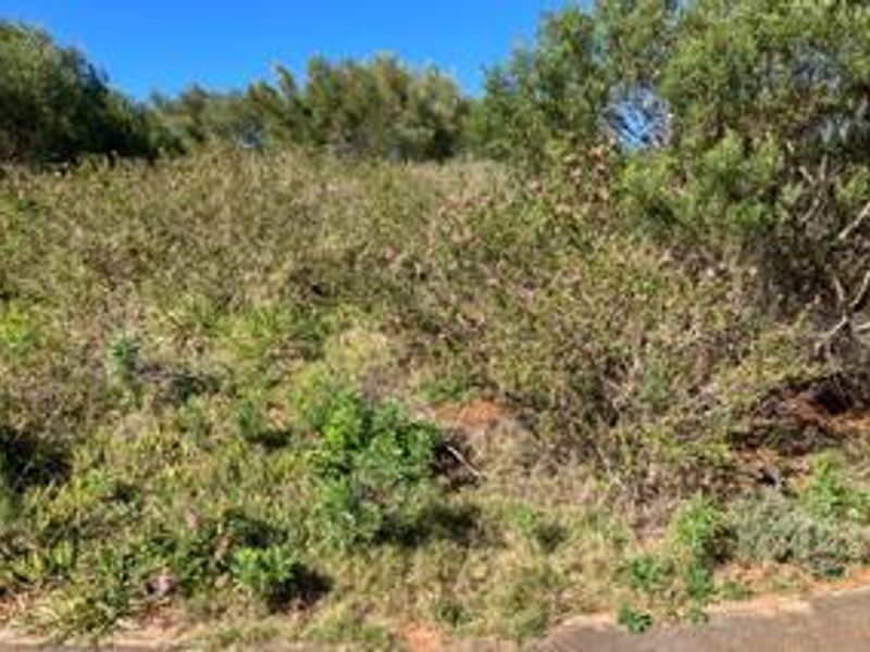 A view of a vacant residential plot featuring natural vegetation and sloped terrain, suitable for future development.