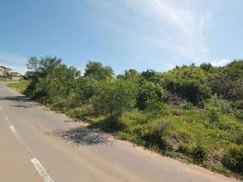 A street-level view of the vacant residential land, showing the adjacent paved road and natural vegetation on the property.