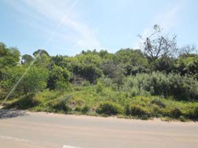 A vacant residential plot featuring natural vegetation and sloped terrain with direct access to a paved road.