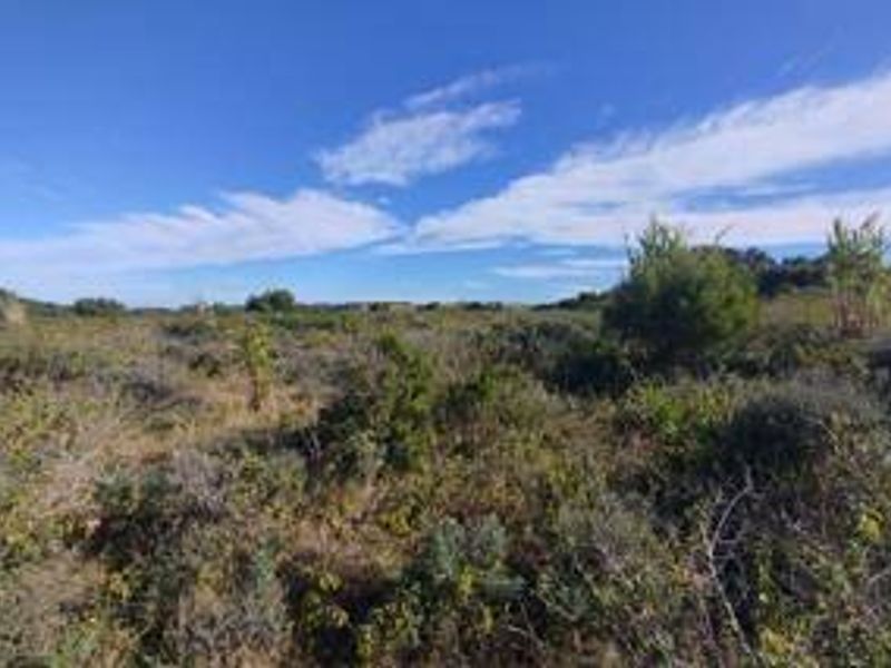 A view of an undeveloped residential plot featuring natural vegetation and open landscape.