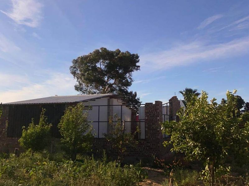 View of a residential property under construction featuring exposed brickwork and metal roofing set within a garden area.
