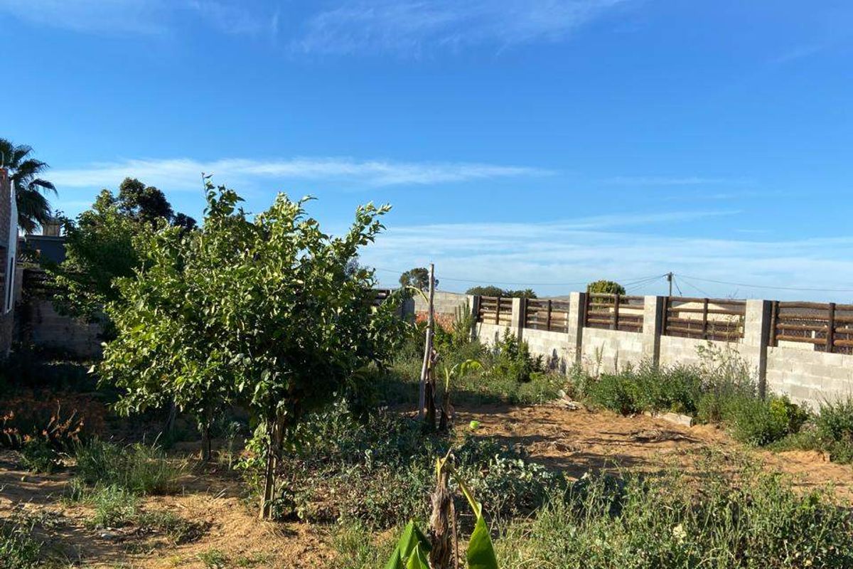 A spacious residential garden plot featuring mature trees and a concrete block boundary wall, offering potential for landscaping and development.