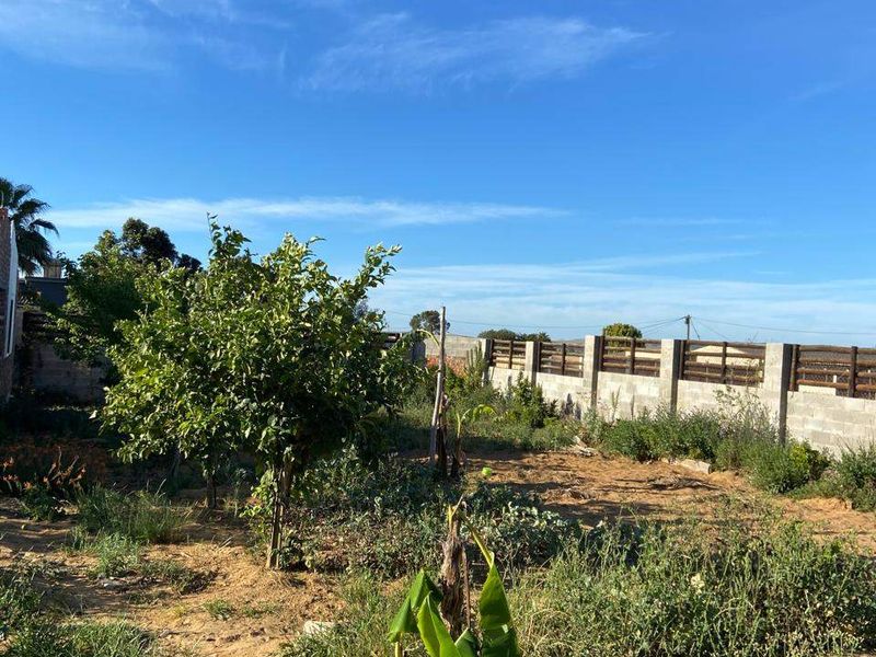 A spacious residential garden plot featuring mature trees and a concrete block boundary wall, offering potential for landscaping and development.