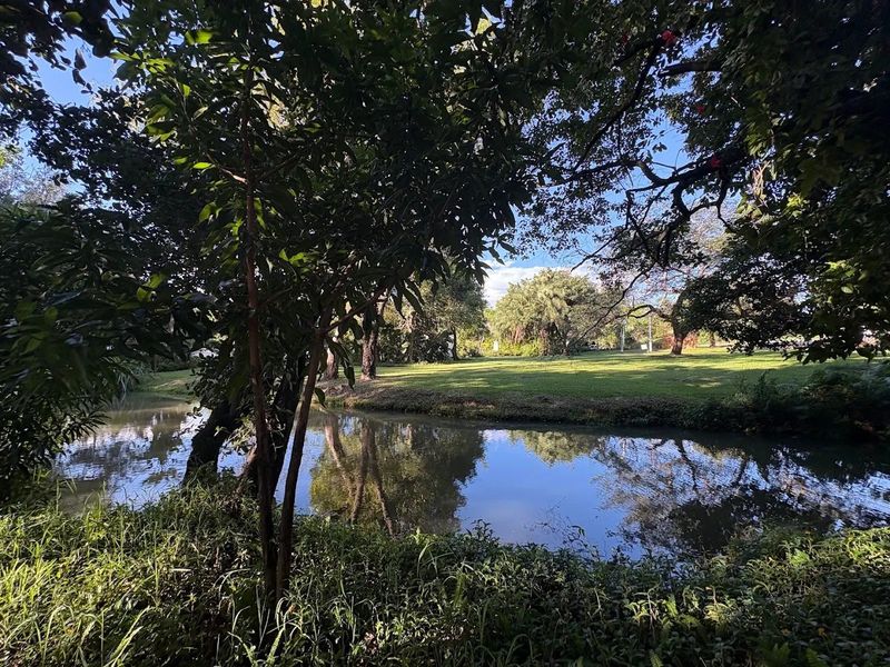 A scenic view of a tranquil pond surrounded by mature trees and a well-maintained lawn, offering a peaceful natural outlook.