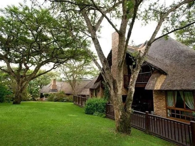 A rear view of a charming thatched-roof house featuring a timber deck, balcony, and expansive garden with mature trees.