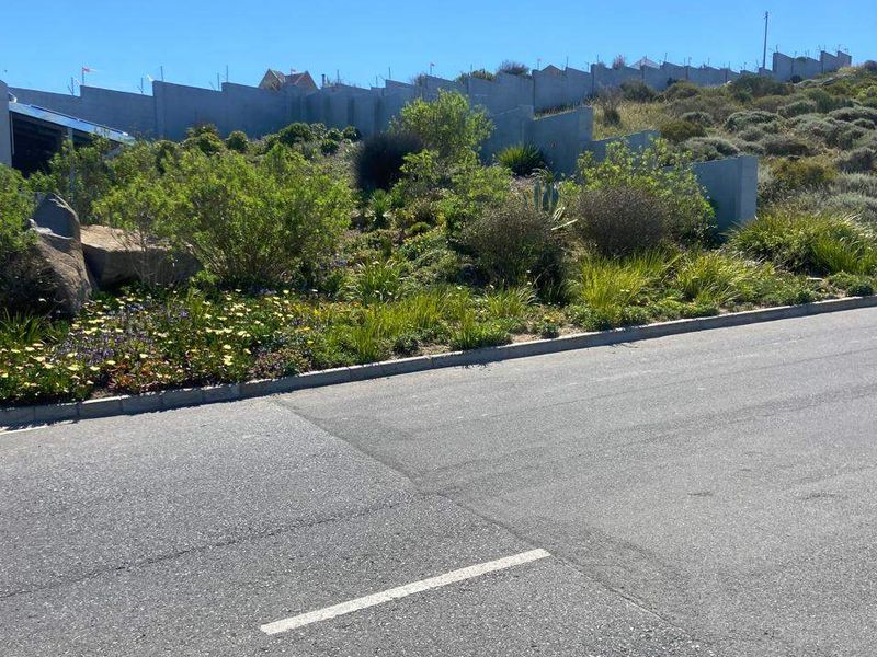A view of the property frontage featuring a landscaped slope, retaining walls with security fencing, and direct access from the paved asphalt street.