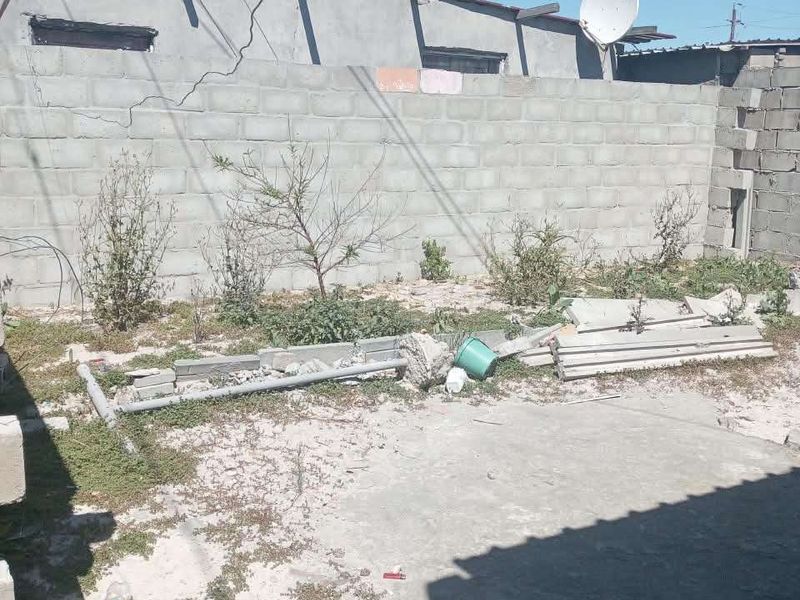 Rear exterior area featuring a concrete patio and block boundary wall, currently in need of significant maintenance and site clearance.