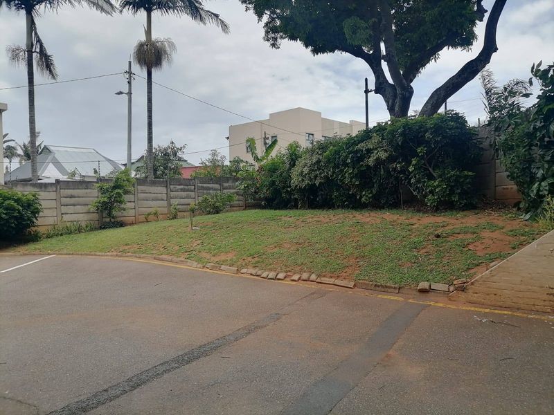 A view of the rear garden area featuring a concrete boundary wall, mature trees, and a paved driveway section.